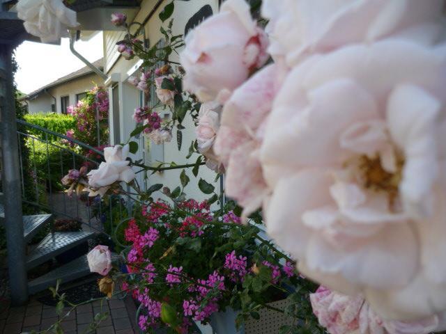 Gastehaus Rosengarten Im Nahetal Kirn Luaran gambar